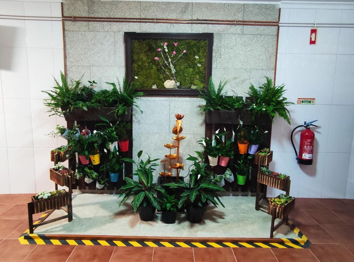 阿吉亚尔小镇 Zimao Garden House酒店 外观 照片